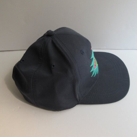 AriZona Iced Tea 20th Anniversary Hat Embroidered Logo Blue Snapback Unisex Cap - Picture 16 of 16